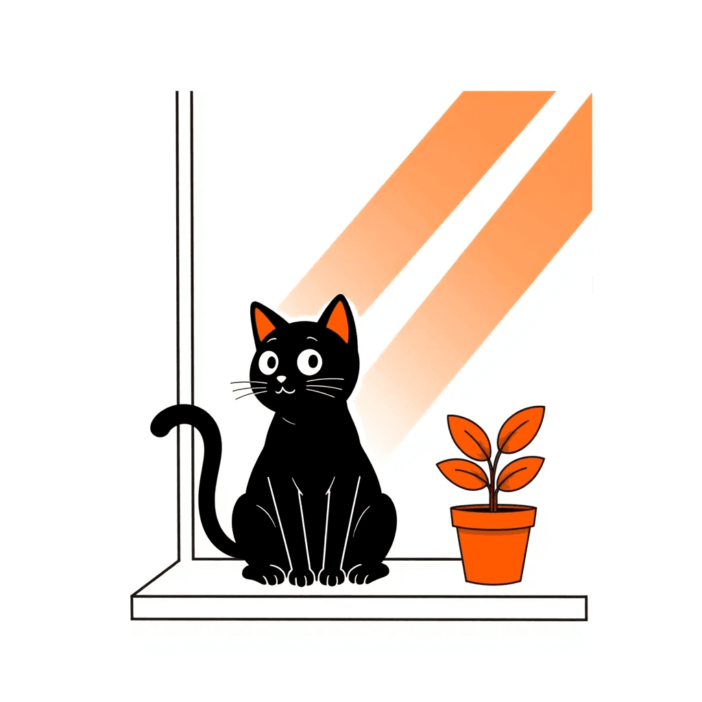 cat illustration illustration