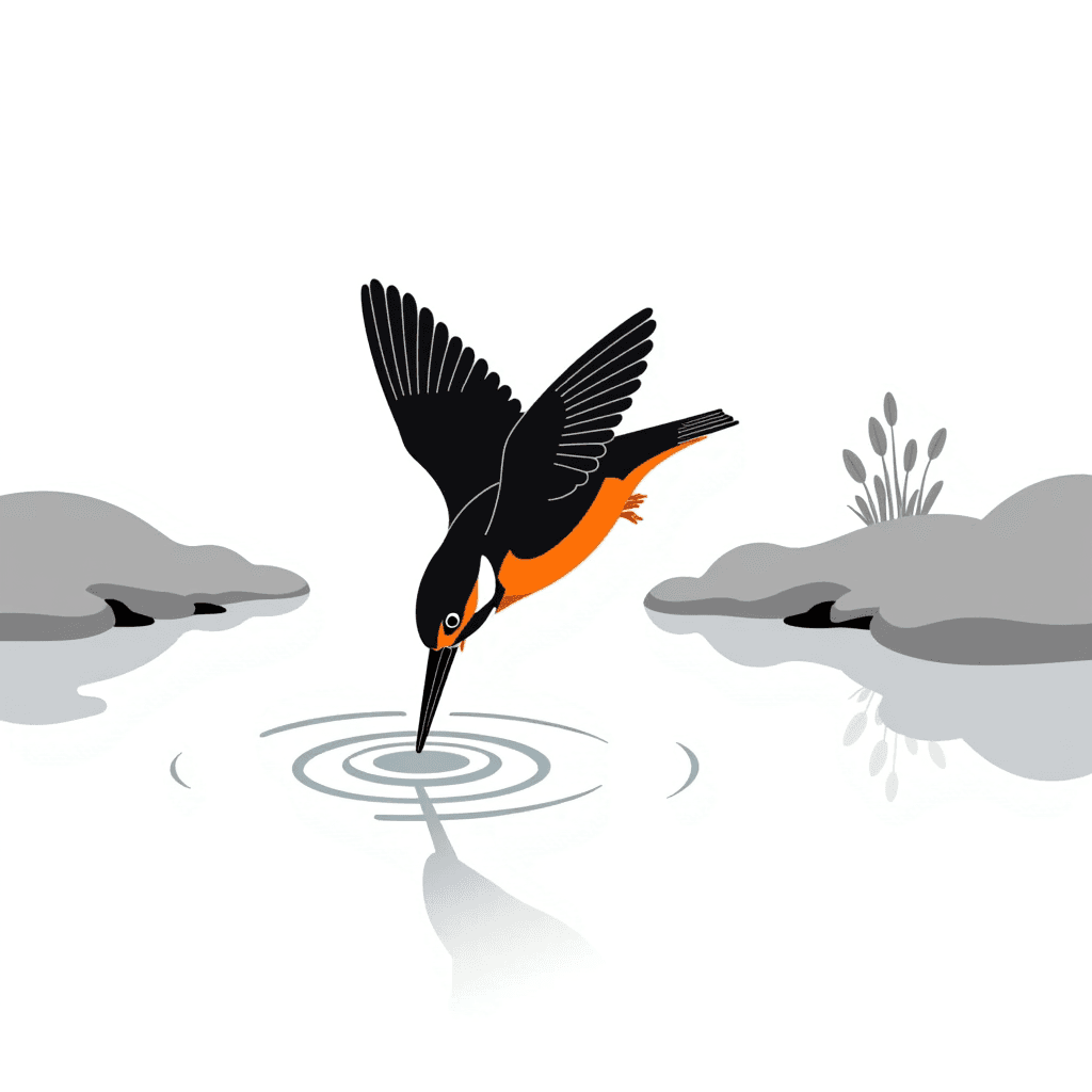 bird illustration illustration
